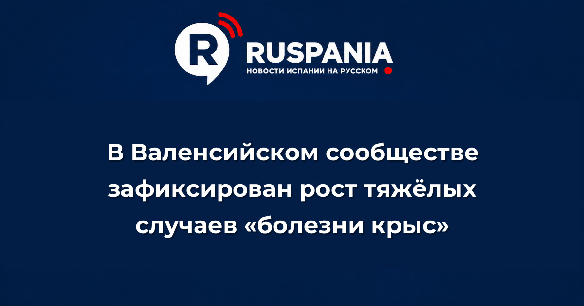 Новости Испании: В Валенсийском сообществе зафиксирован рост тяжёлых случаев «болезни крыс»