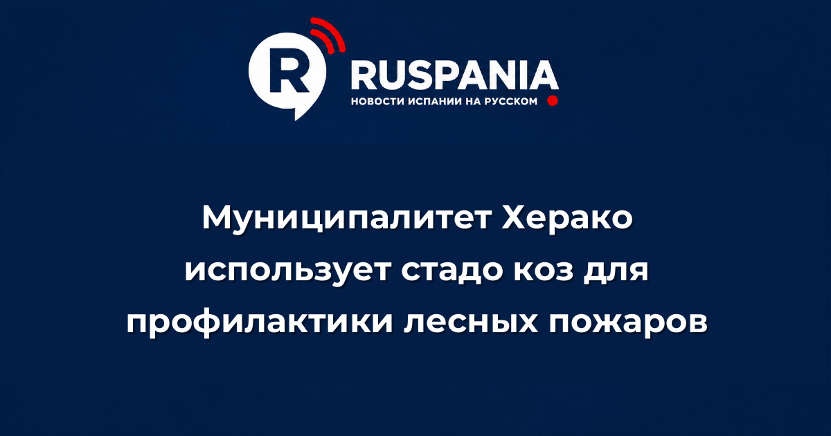 Новости Испании: Муниципалитет Херако использует стадо коз для профилактики лесных пожаров