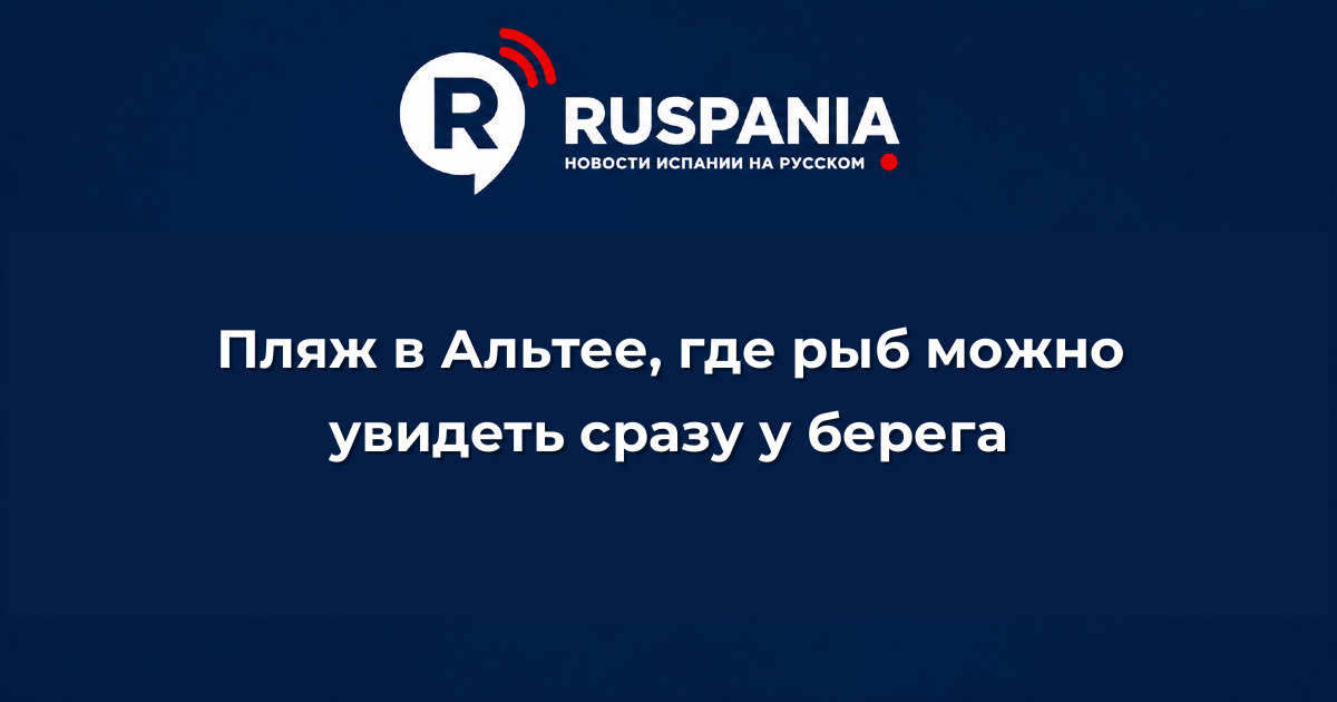 Новости Испании: Пляж в Альтее, где рыб можно увидеть сразу у берега