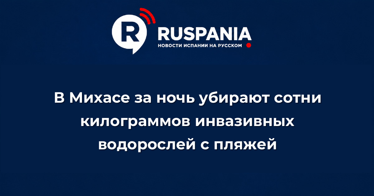 Новости Испании: В Михасе за ночь убирают сотни килограммов инвазивных водорослей с пляжей