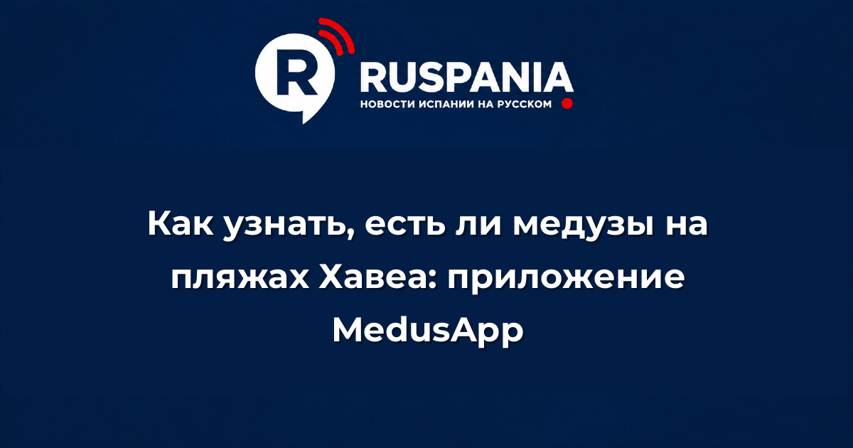Новости Испании: Как узнать, есть ли медузы на пляжах Хавеа: приложение MedusApp
