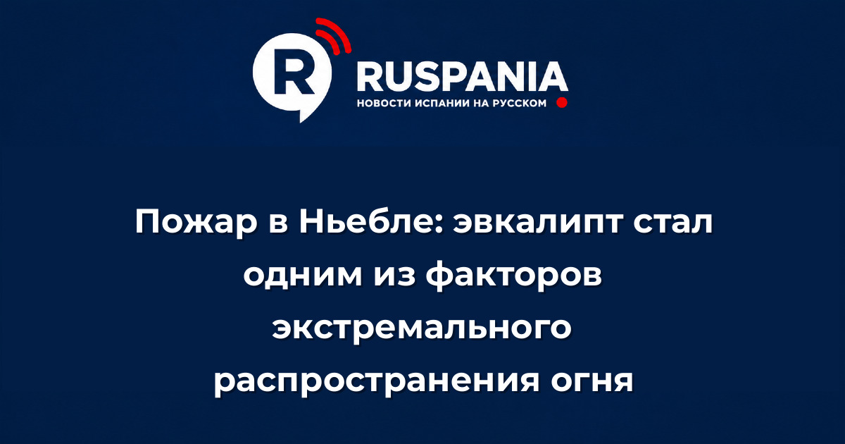 Новости Испании: Пожар в Ньебле: эвкалипт стал одним из факторов экстремального распространения огня